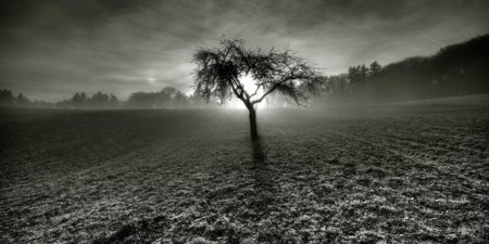 image of a dark field real life ghost sightings